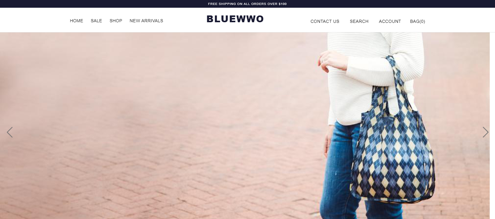 bluewwo homepage image of a lady carrying a handbag