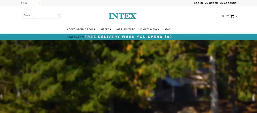 Intex