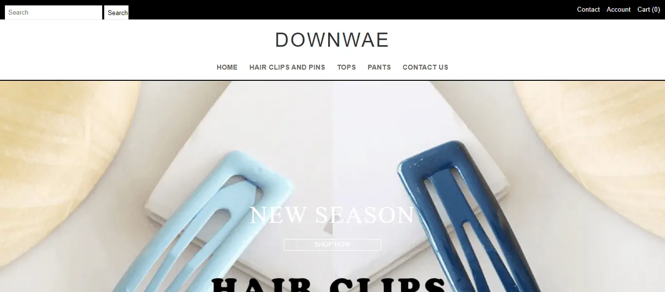 downwae.com Homepage Image