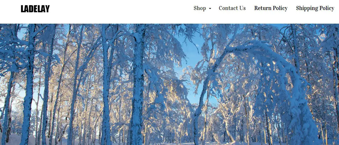 Ladelay.com Review (2021): Ladelay Scam Store Exposed!