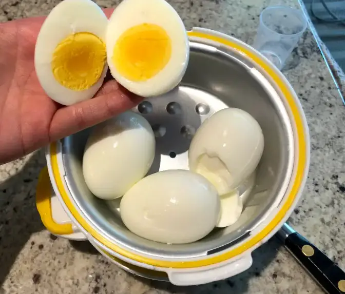 Egg Pod Reviews 2022 Does It Work? Read To Know! SabiReviews